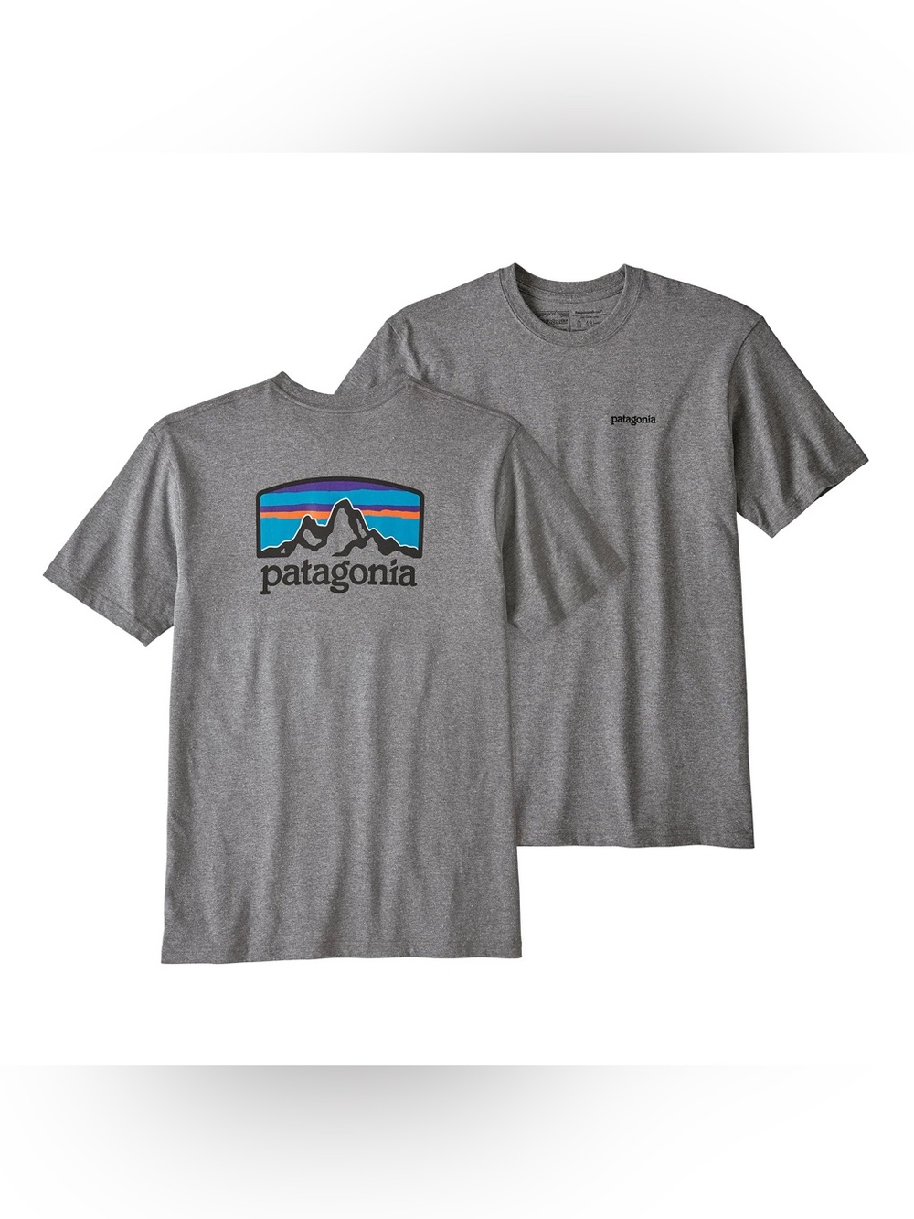 Patagonia Men's Fitz Roy Horizons Tee